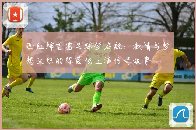 西红柿首富足球梦启航，激情与梦想交织的绿茵场上演传奇故事
