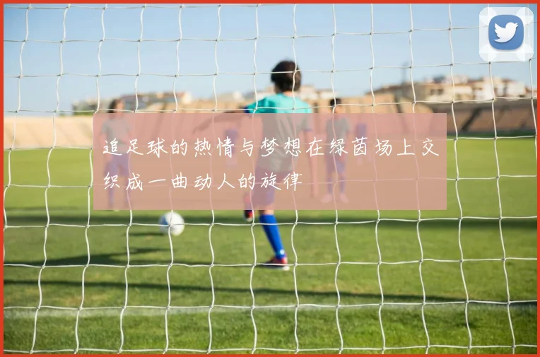 追足球的热情与梦想在绿茵场上交织成一曲动人的旋律